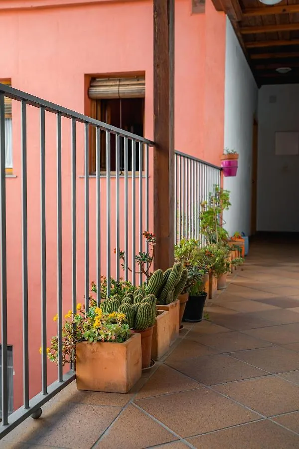 Ibericabeds Realejo Apartment Granada